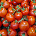 Tomatoes Bagged - Random Weight